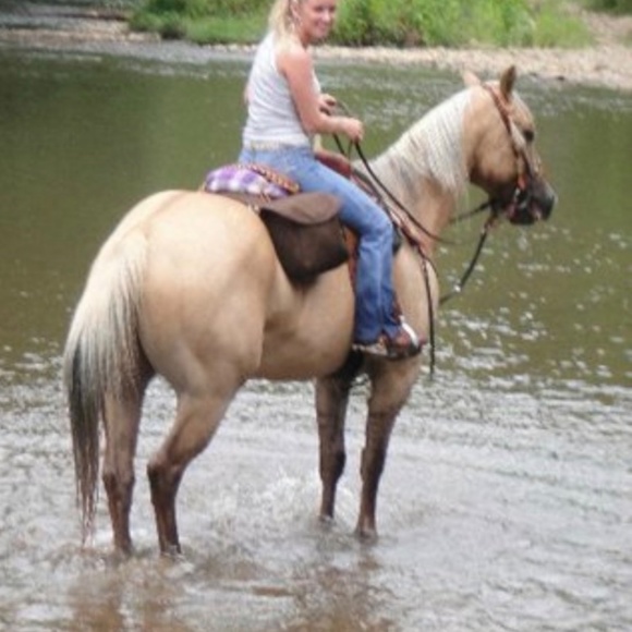 Meet your Posher, Joni - Picture 5 of 5